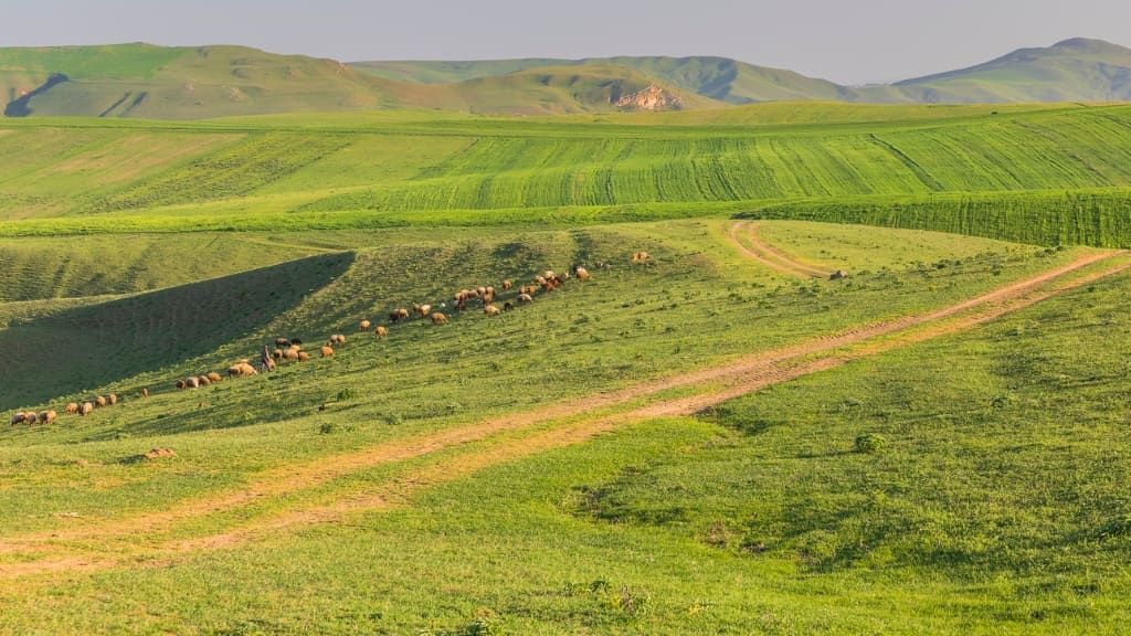 Nature filming location in Azerbaijan, photo 13