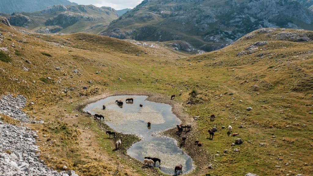 Lakes & Rivers filming location in Montenegro, photo 2
