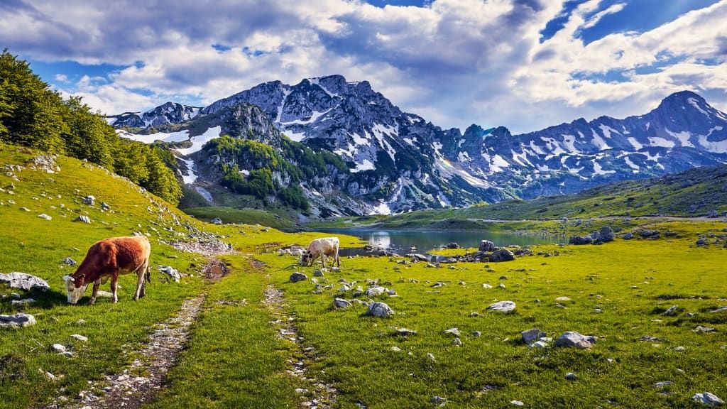 Nature filming location in Montenegro, photo 11