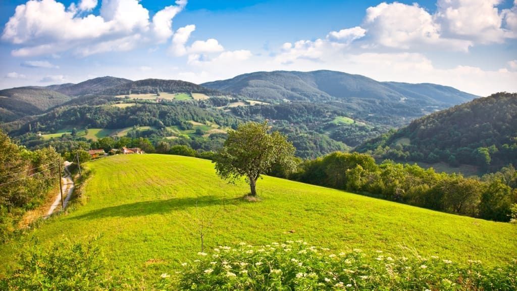 Nature filming location in Serbia, photo 3