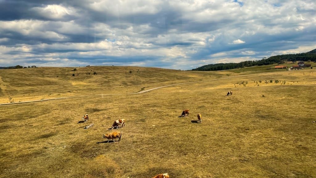 Nature filming location in Serbia, photo 5