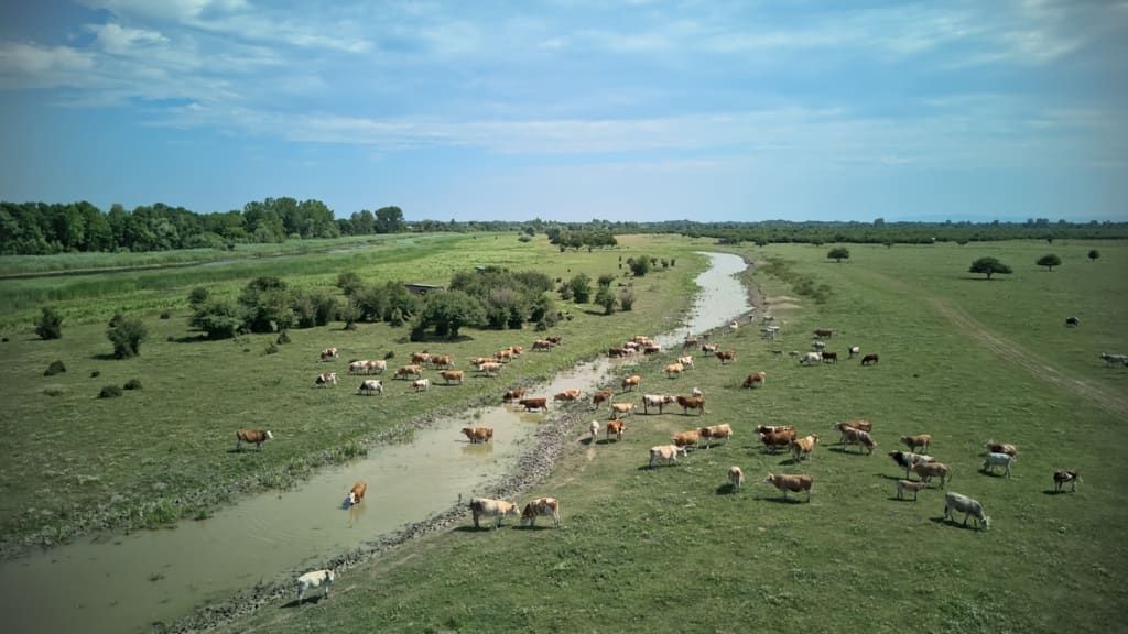 Nature filming location in Serbia, photo 6
