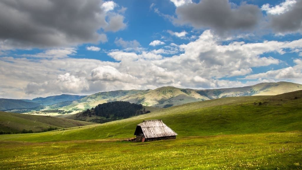 Nature filming location in Serbia, photo 14
