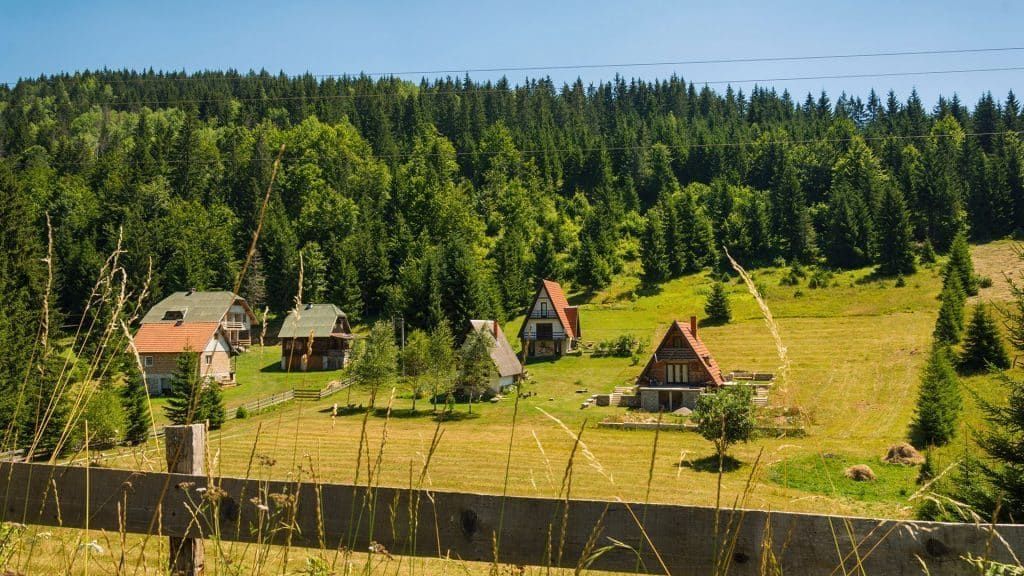 Nature filming location in Serbia, photo 15