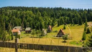 Nature filming location in Serbia, photo 16
