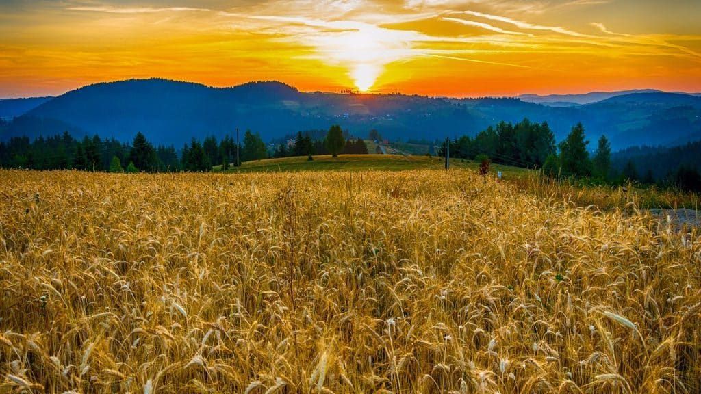 Nature filming location in Serbia, photo 17