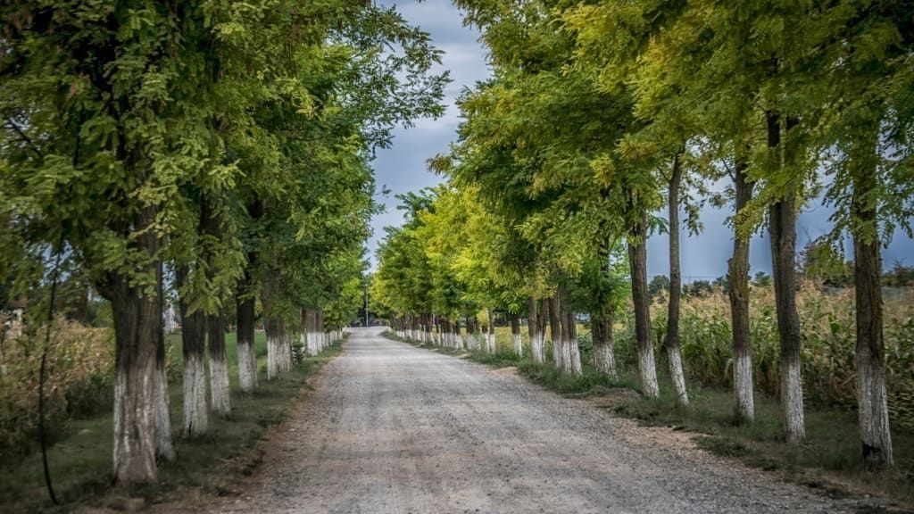 Roads filming location in Serbia, photo 14