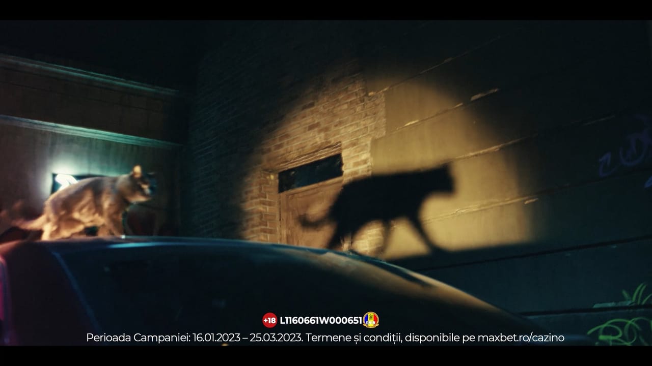 Maxbet · MAXBET CASINO