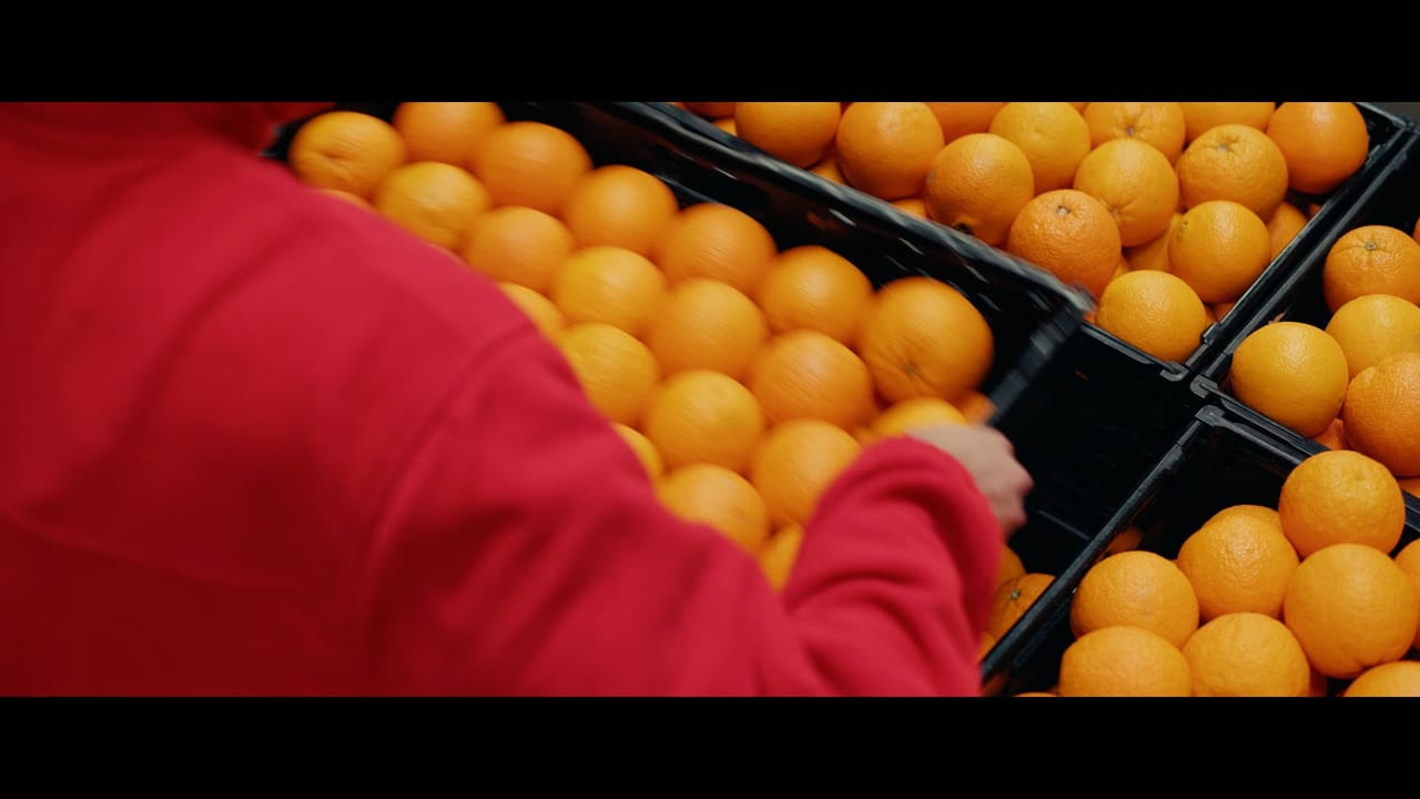 PENNY - Depozit · PENNY - Depozit