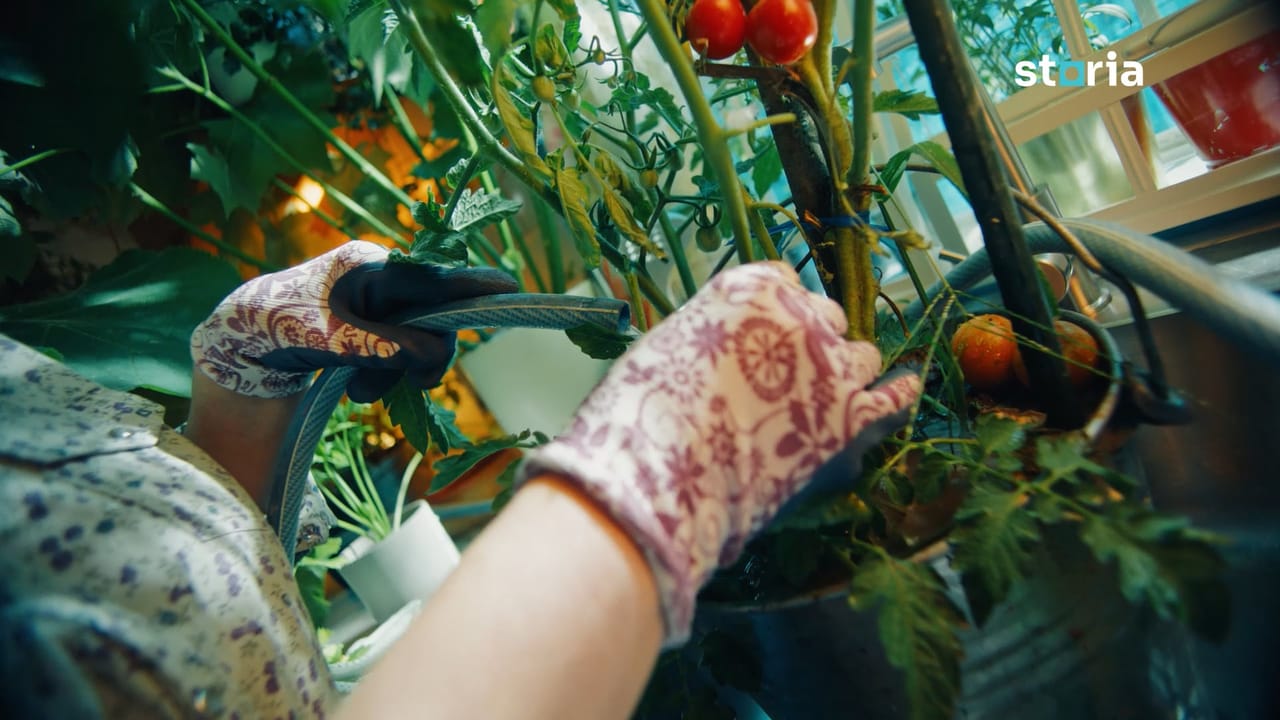 Storia Bunicii | commercial produced in Romania by Family Film
