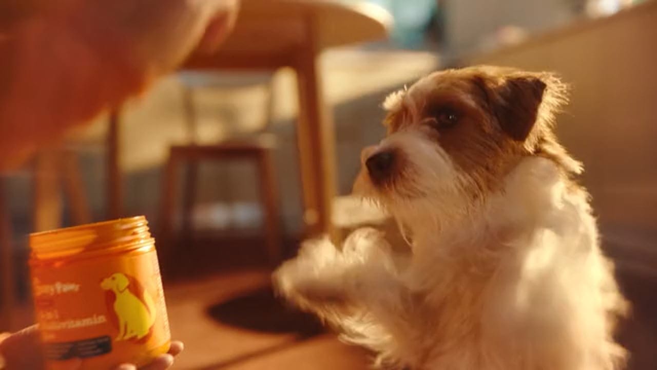 Zesty Paws · Zesty Paws